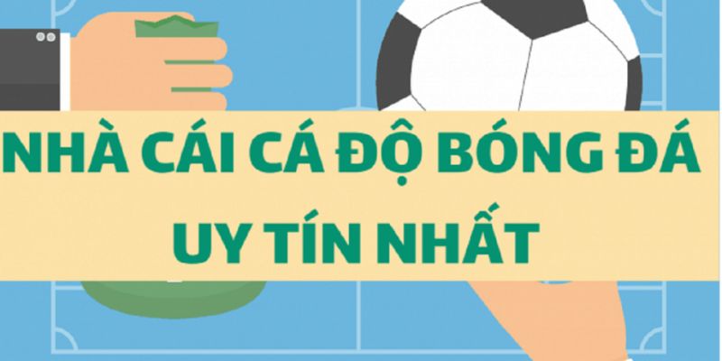 Luật cá độ bóng đá để quản lý nhà cái và người chơi