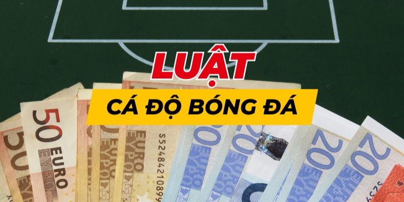 Luật cá độ bóng đá và kiến thức cần nắm vững